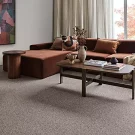 room-the-ivy-mohawk-carpet-rug