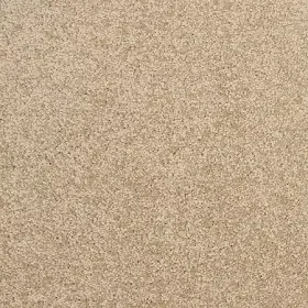 728
