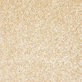 728