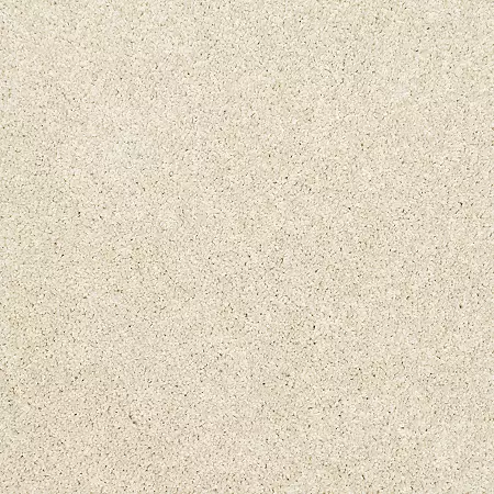 alabaster-claws-and-effect-i-mohawk-carpet-rug
