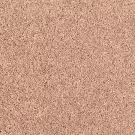 apricot-butter-easy-purpose-mohawk-carpet-rug
