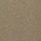 birch-canyon-ridge-ii-mohawk-carpet-rug