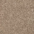boulevard-color-classics-ii-mohawk-carpet-rug