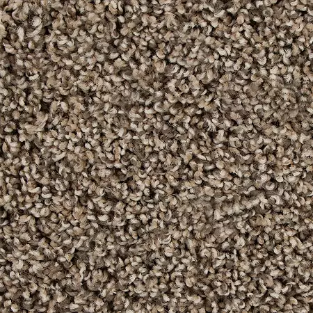 Color Fusion I by Mohawk | Textured Carpet | Wall-to-Wall
