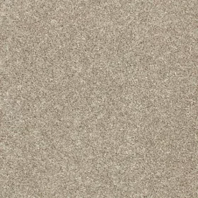 Canvas Cloth