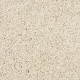 Canvas Cloth