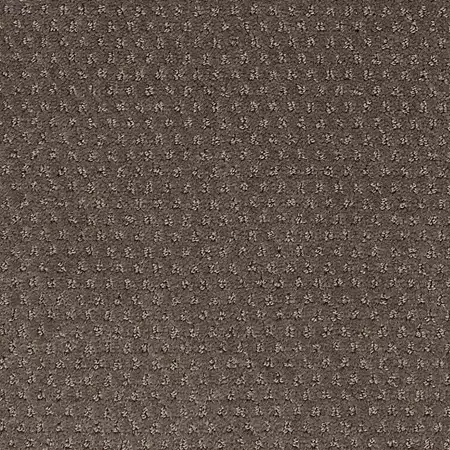 charge-dynamic-momentum-mohawk-carpet-rug