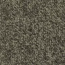 classic-silver-chic-comfort-mohawk-carpet-rug
