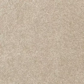 Coastal Sand