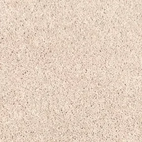 Cookie Crumble