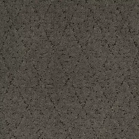Dried Peat