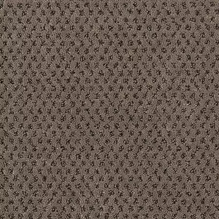 enduring-timeless-effects-mohawk-carpet-rug