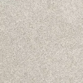 Grey Whisp