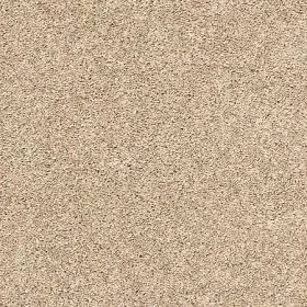 Hickory Bark