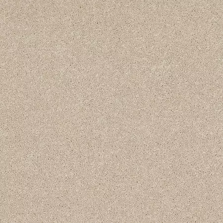 Rug Product Image