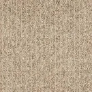 jasper-detailed-comfort-mohawk-carpet-rug