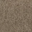 kodiak-enduring-amazement-mohawk-carpet-rug