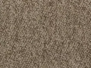 kodiak-enduring-amazement-mohawk-carpet-rug