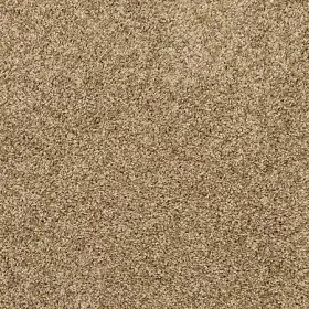 Parchment