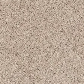Polished Tan