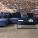 room-chic-comfort-mohawk-carpet-rug