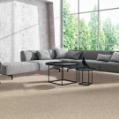 room-classical-design-ii-mohawk-carpet-rug