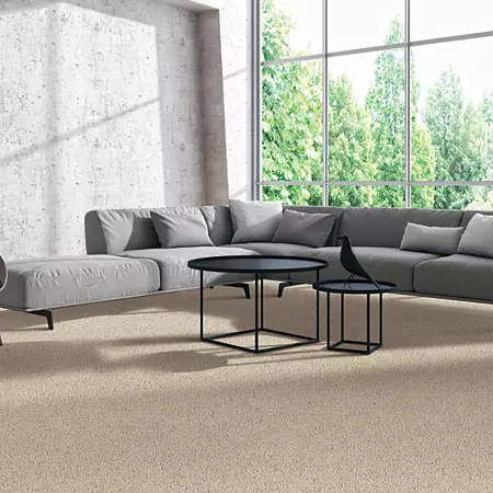 room-classical-design-ii-mohawk-carpet-rug