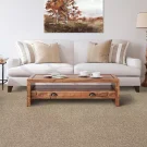 room-color-fusion-i-mohawk-carpet-rug