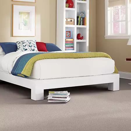 room-elegant-appeal-i-mohawk-carpet-rug