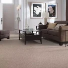 room-elegant-appeal-iii-mohawk-carpet-rug