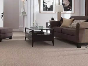 room-elegant-appeal-iii-mohawk-carpet-rug