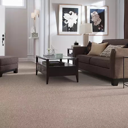 room-elegant-appeal-iii-mohawk-carpet-rug