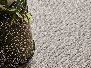 room-salutation-brixham-mohawk-carpet-rug