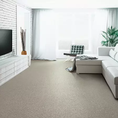 Canyon Ridge Mohawk Carpet