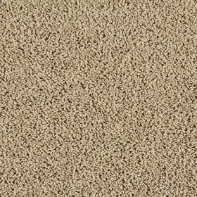 Safari Tan