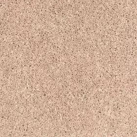 Sand Storm