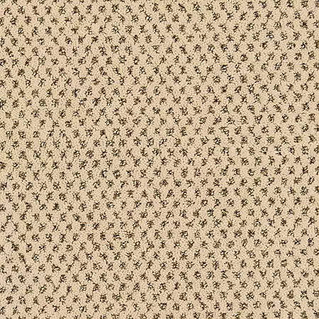 vista-timeless-effects-mohawk-carpet-rug