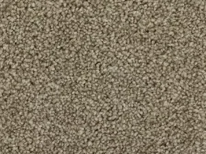 warm-fog-effortless-choice-mohawk-carpet-rug