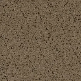 Weathered Plank