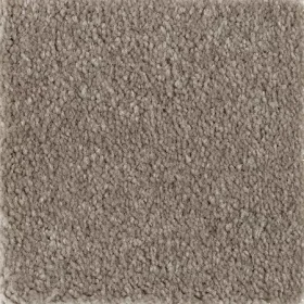 Wool Socks