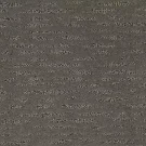 dried-peat-exquisite-reputation-mohawk-carpet-rug