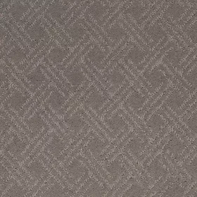 Moonlit Grey