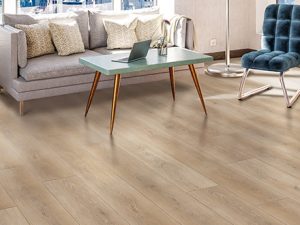 room-bravo-moda-living-elite-provenza-floors-luxury-vinyl-plank-lvp