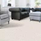 room-exquisite-beauty-mohawk-carpet-rug