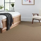 room-exquisite-touch-mohawk-carpet-rug