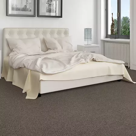 room-friendly-recommendation-mohawk-carpet-rug