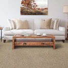 room-grovewood-hartley-mohawk-carpet-rug