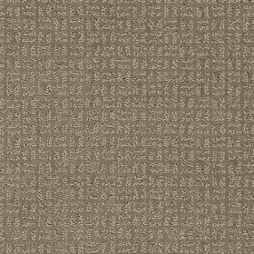 Taupe Shadow