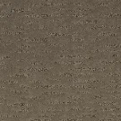 weathered-plank-exquisite-reputation-mohawk-carpet-rug