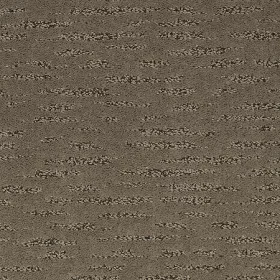 Weathered Plank